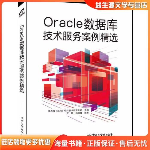 oracle数据库技术服务案例精选麦思博